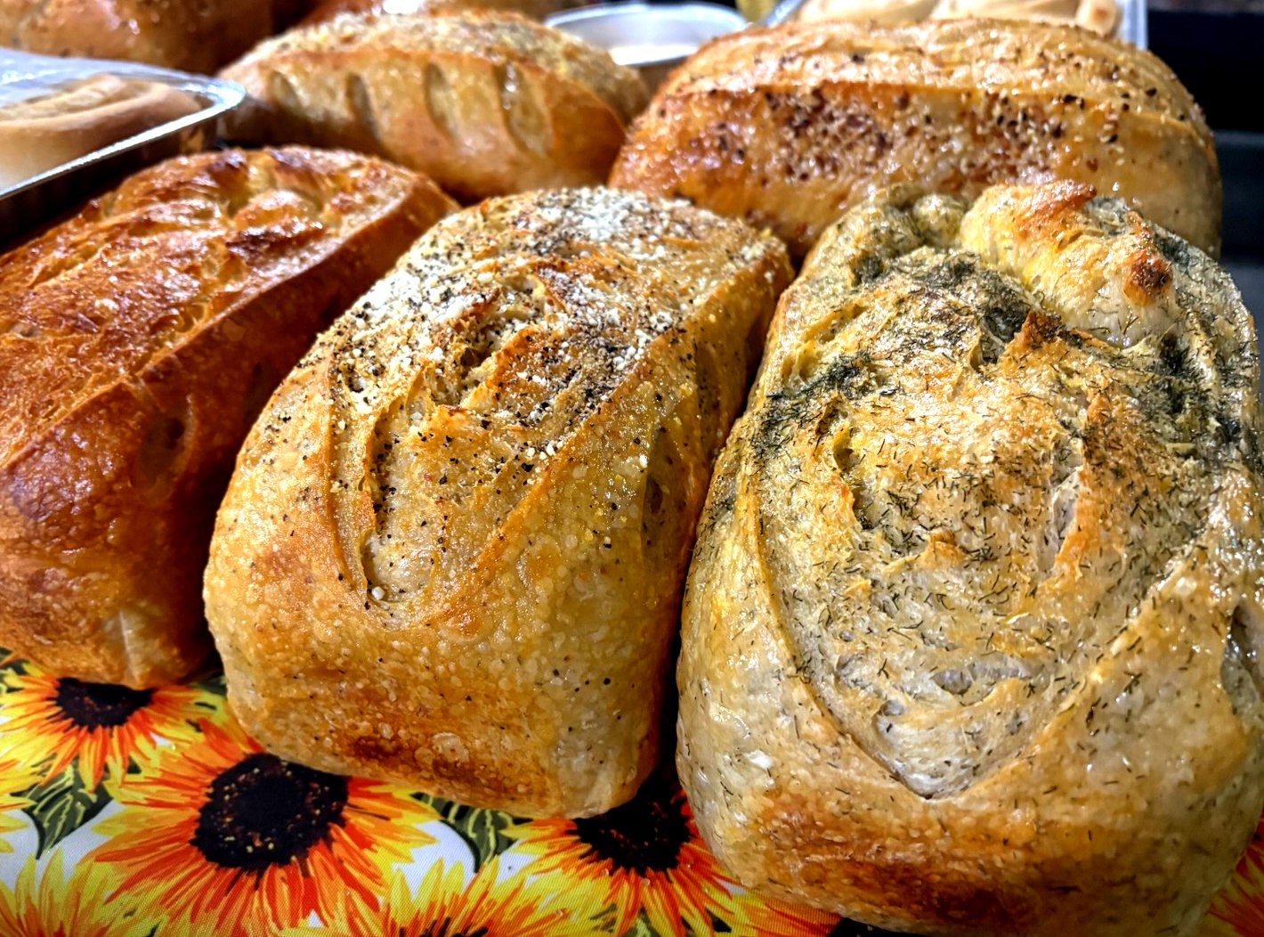 Artisan bread rounds