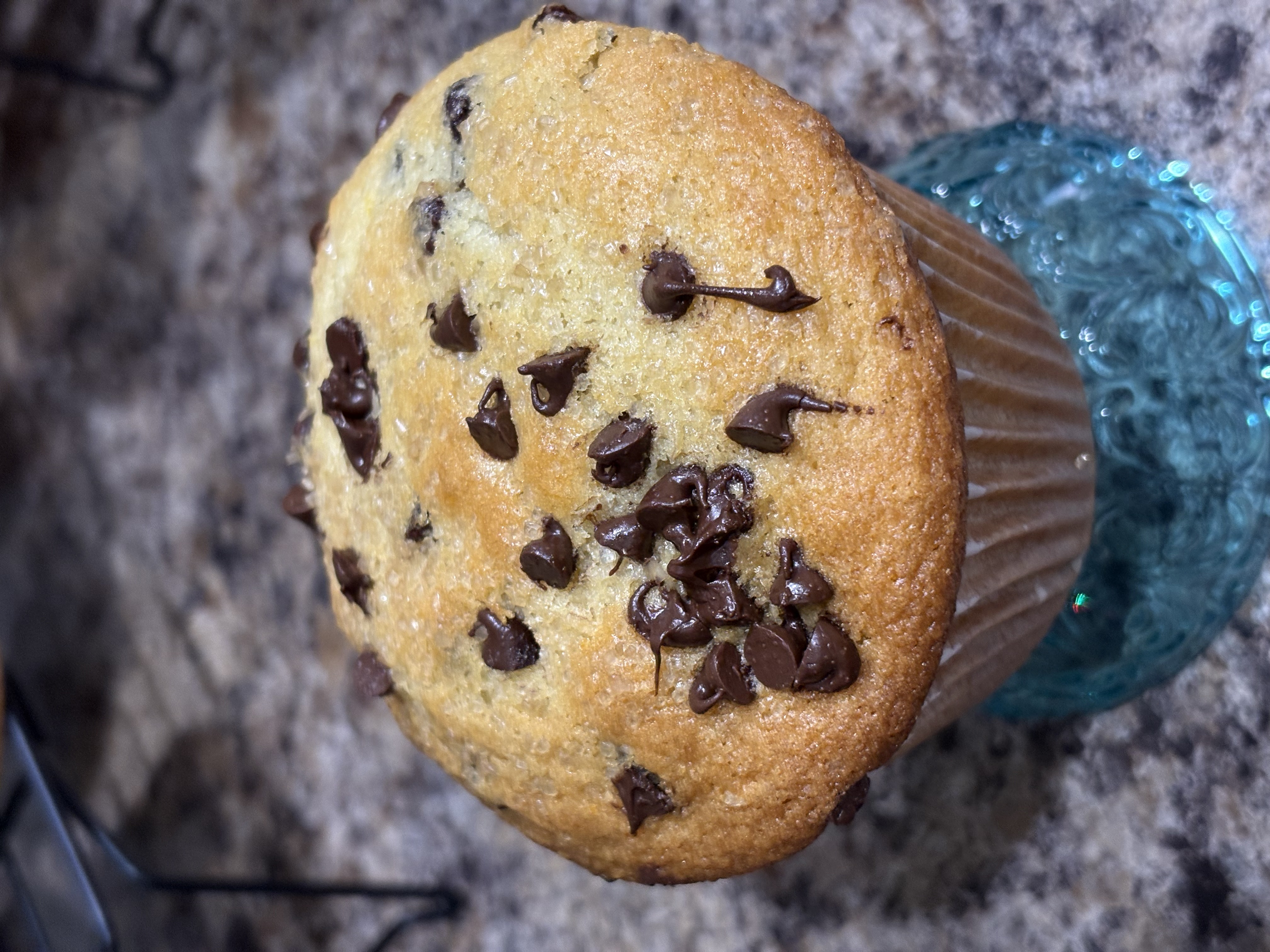 Chocolate Chip Muffin