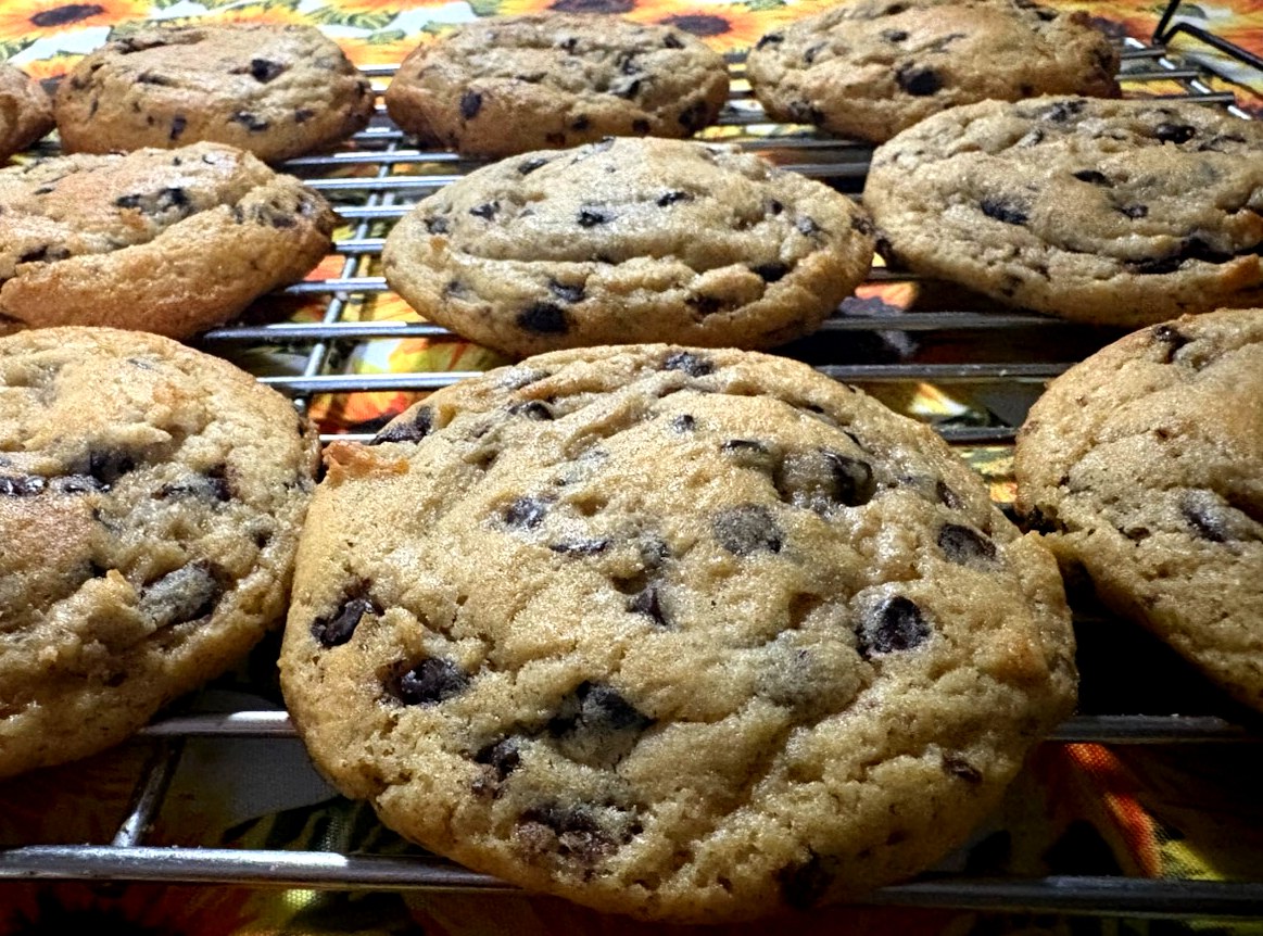 Chocolate chip cookies