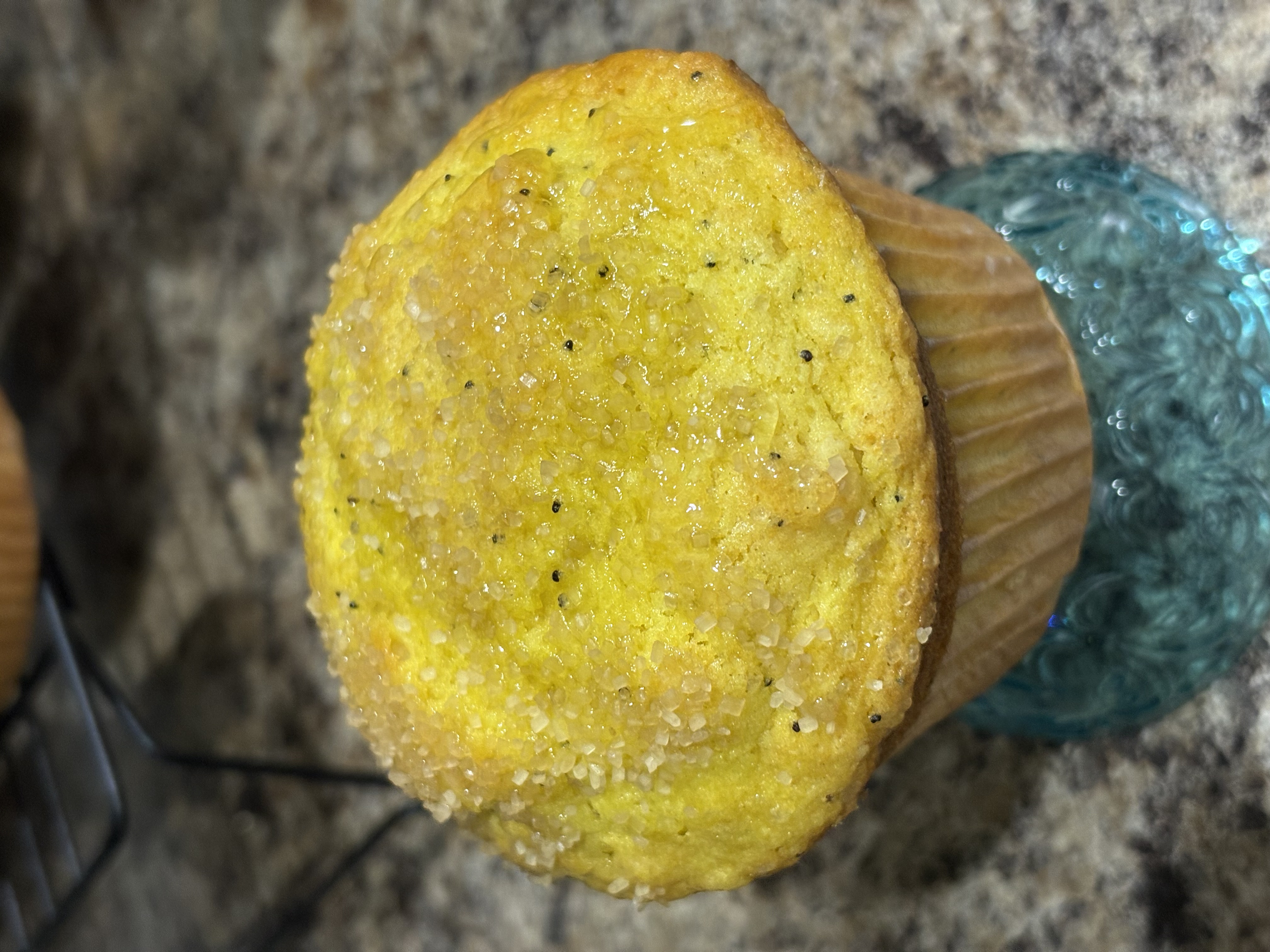 Lemon Poppyseed Muffin