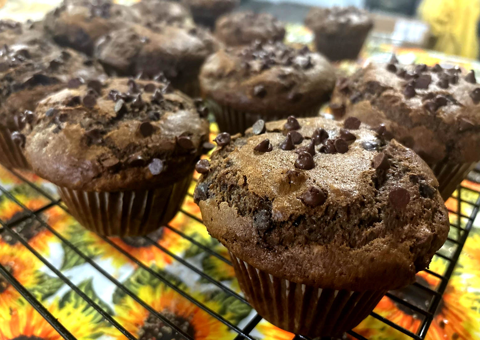 Fresh muffins
