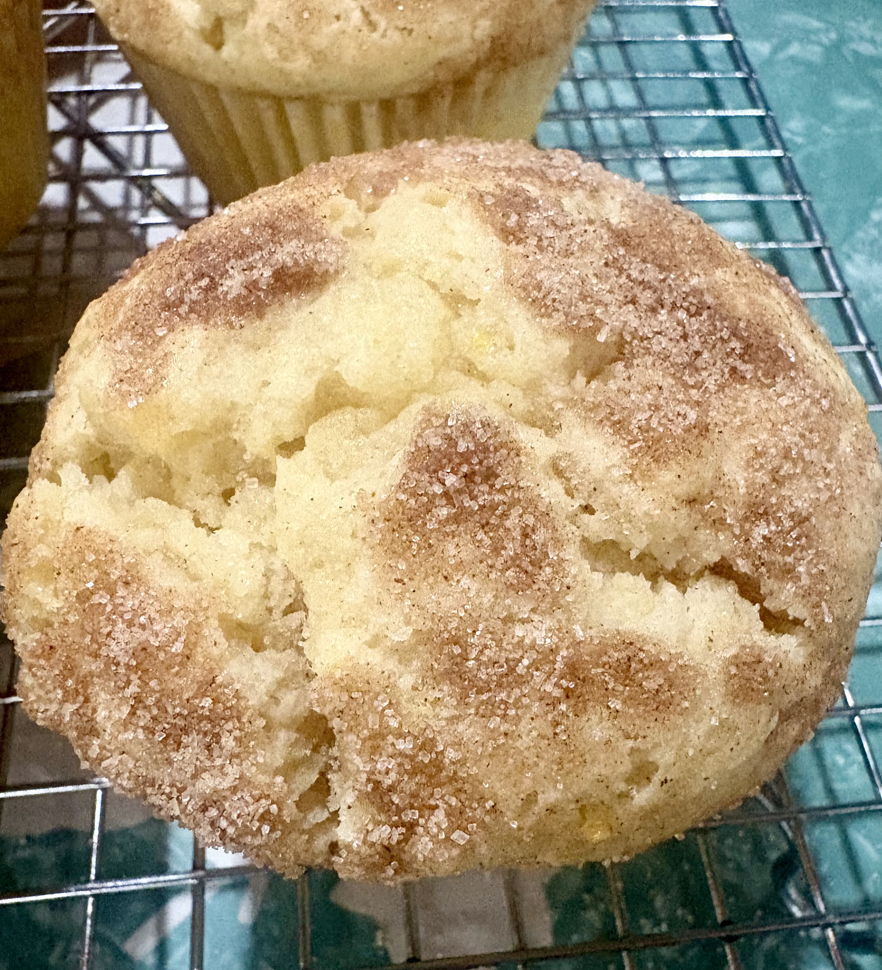 Snickerdoodle Muffin